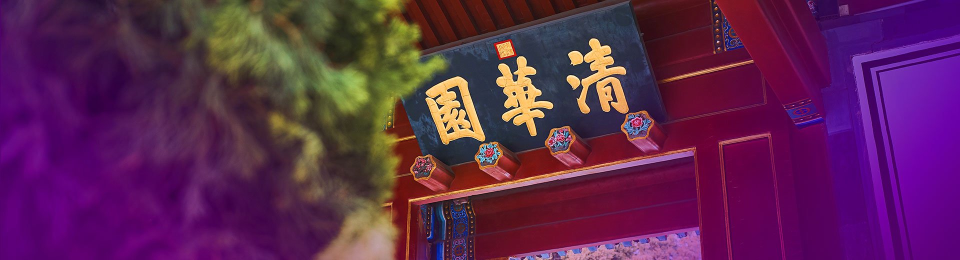 Tsinghua Universit